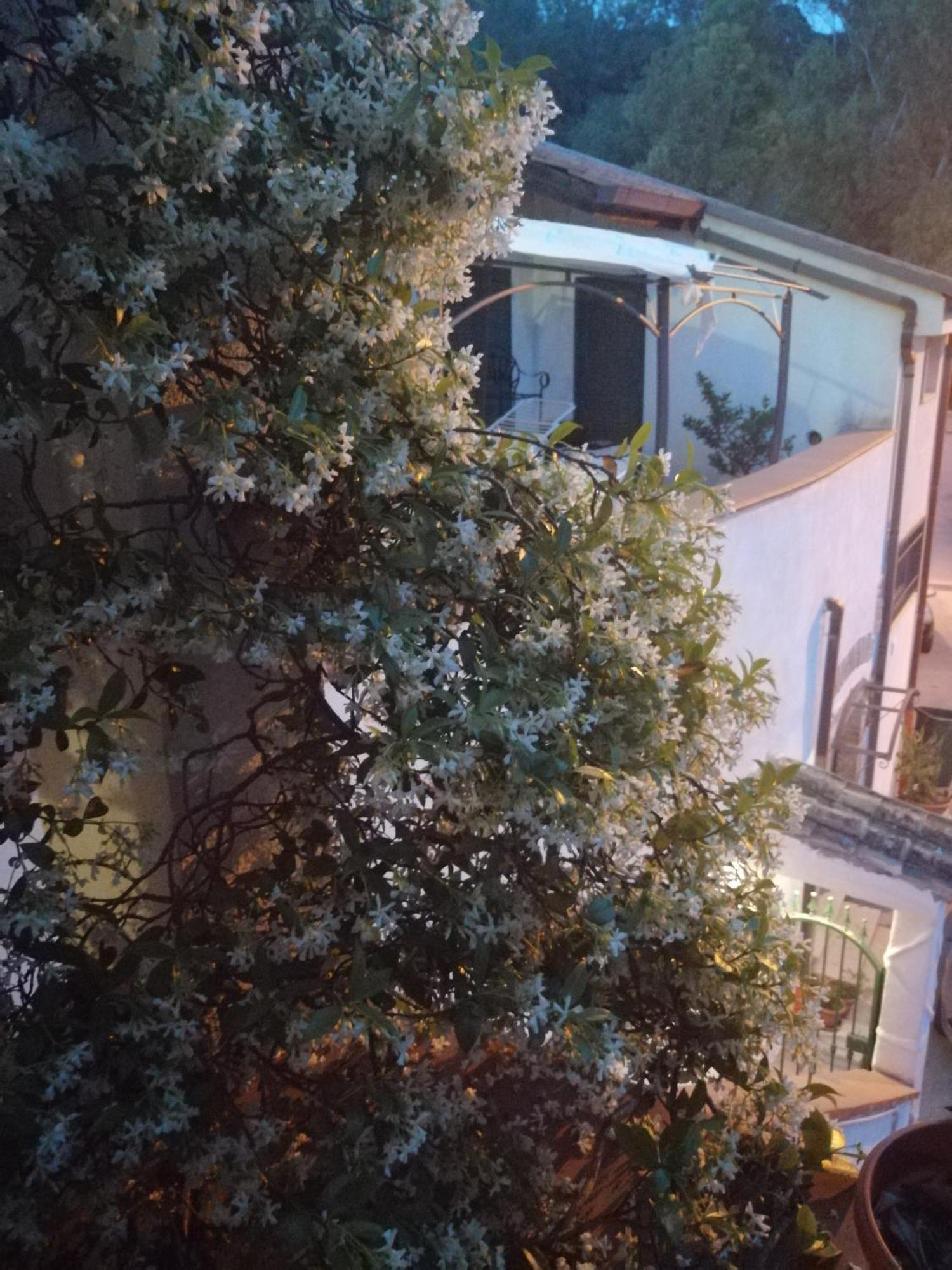 B&B Moscani Салерно Екстериор снимка